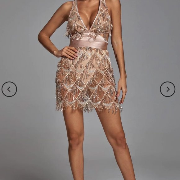 Sheer Satin Fringe Mini Dress - Picture 4 of 7